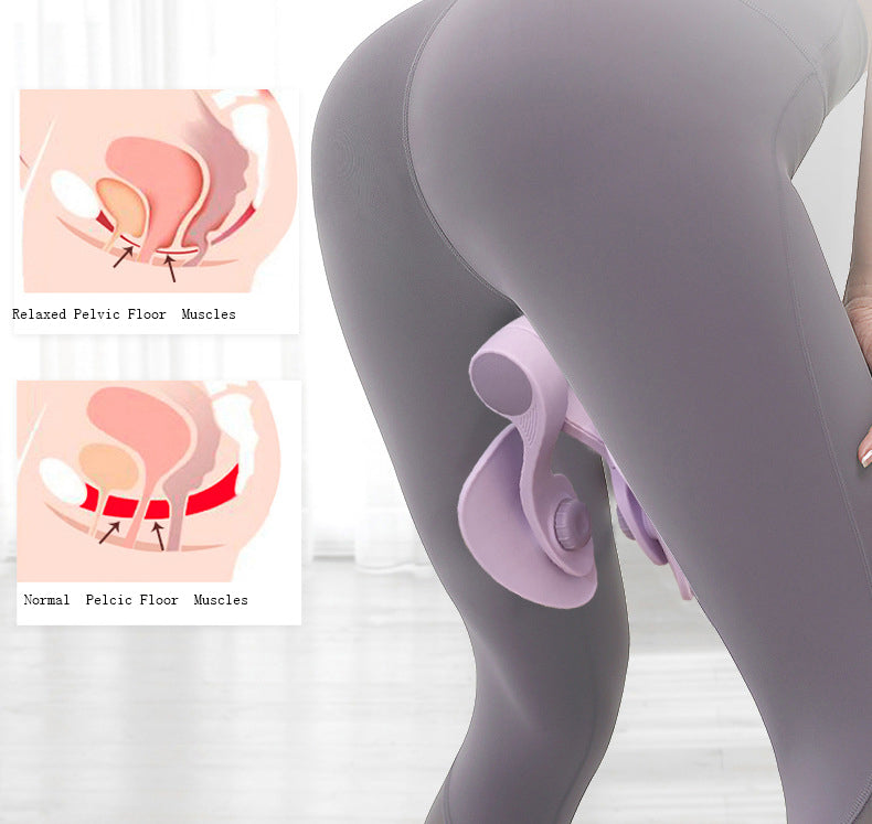 Pelvic Floor Muscle