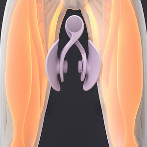 Pelvic Floor Muscle Training Device