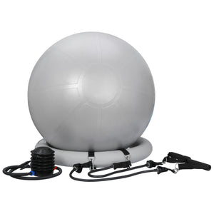 65Cm Exercise Workout Yoga Ball Fitness Pilates Sculpting Balance Include Pump