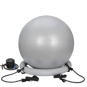 65Cm Exercise Workout Yoga Ball Fitness Pilates Sculpting Balance Include Pump