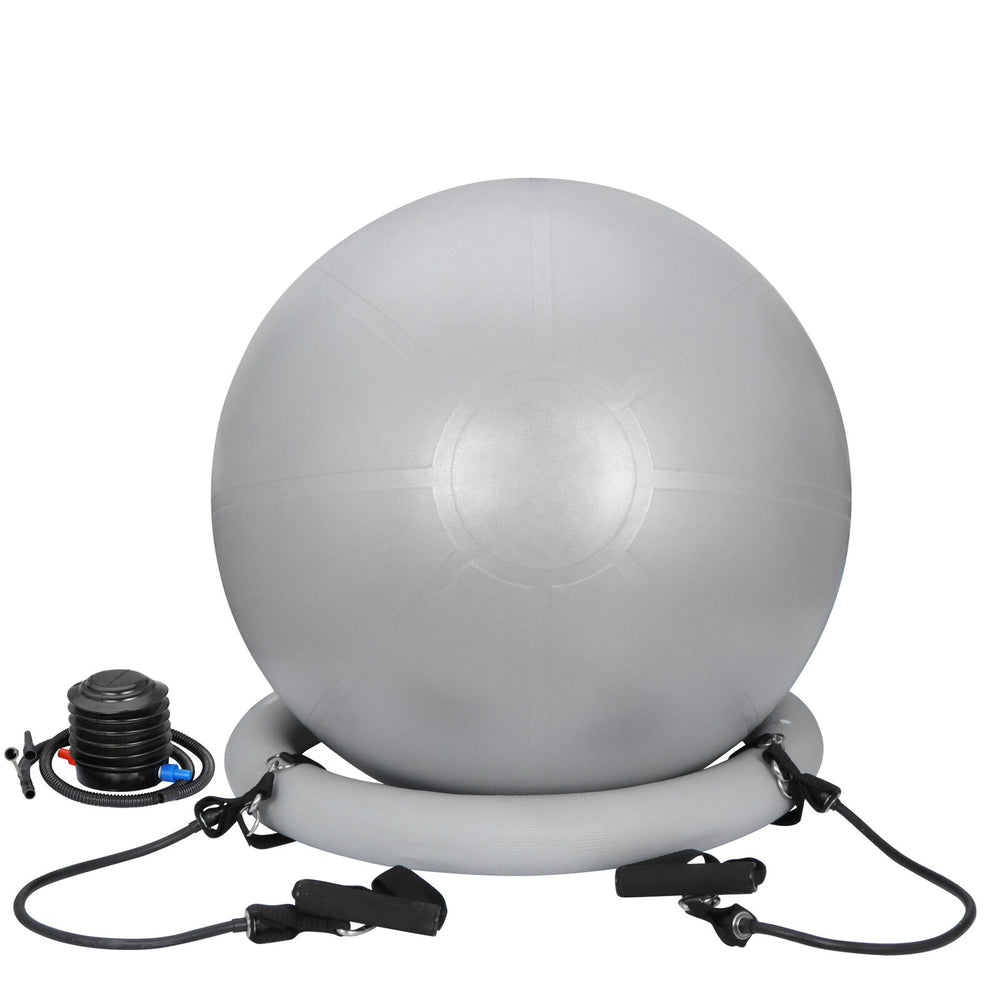 65Cm Exercise Workout Yoga Ball Fitness Pilates Sculpting Balance Include Pump
