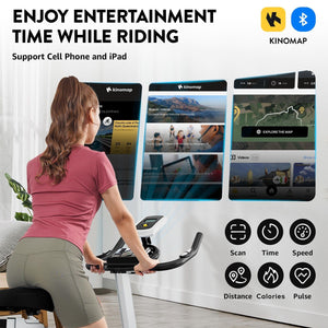 Pooboo Indoor Cycling Bike Stationary Exercise Bike Home Cardio Workout Machine