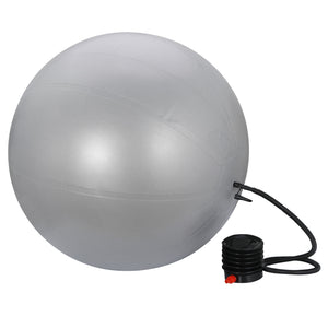 65Cm Exercise Workout Yoga Ball Fitness Pilates Sculpting Balance Include Pump