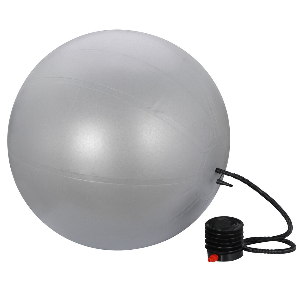 65Cm Exercise Workout Yoga Ball Fitness Pilates Sculpting Balance Include Pump