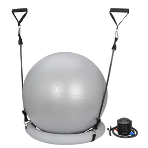 65Cm Exercise Workout Yoga Ball Fitness Pilates Sculpting Balance Include Pump