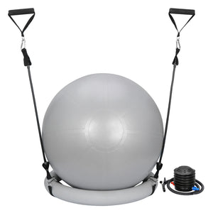 65Cm Exercise Workout Yoga Ball Fitness Pilates Sculpting Balance Include Pump