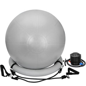 65Cm Exercise Workout Yoga Ball Fitness Pilates Sculpting Balance Include Pump