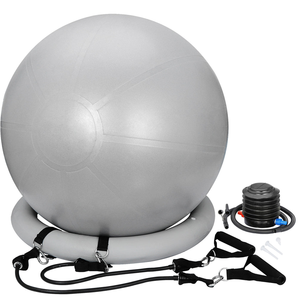 65Cm Exercise Workout Yoga Ball Fitness Pilates Sculpting Balance Include Pump