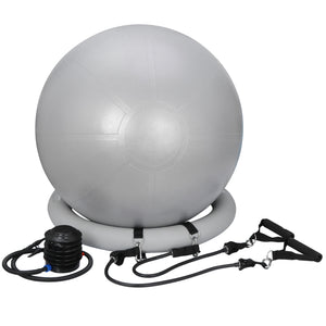 65Cm Exercise Workout Yoga Ball Fitness Pilates Sculpting Balance Include Pump